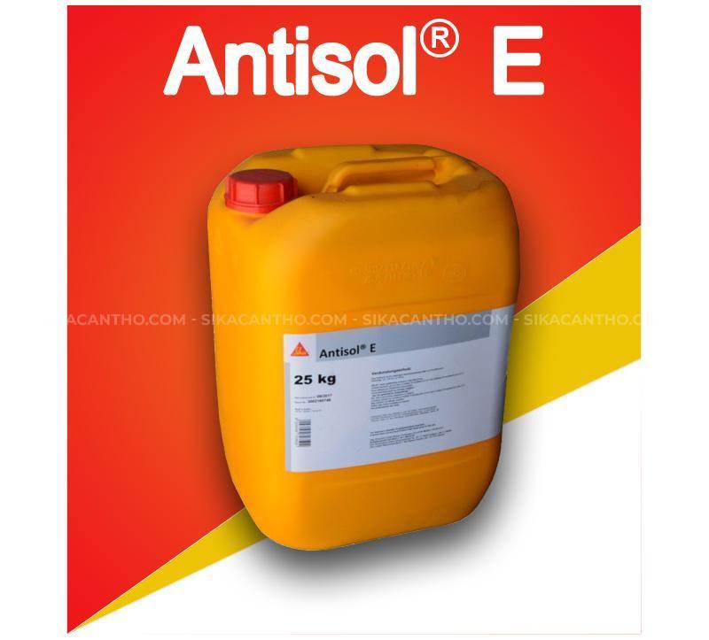 Antisol E chất bảo dưỡng bê tông